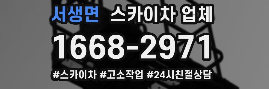 서생면 스카이차 업체