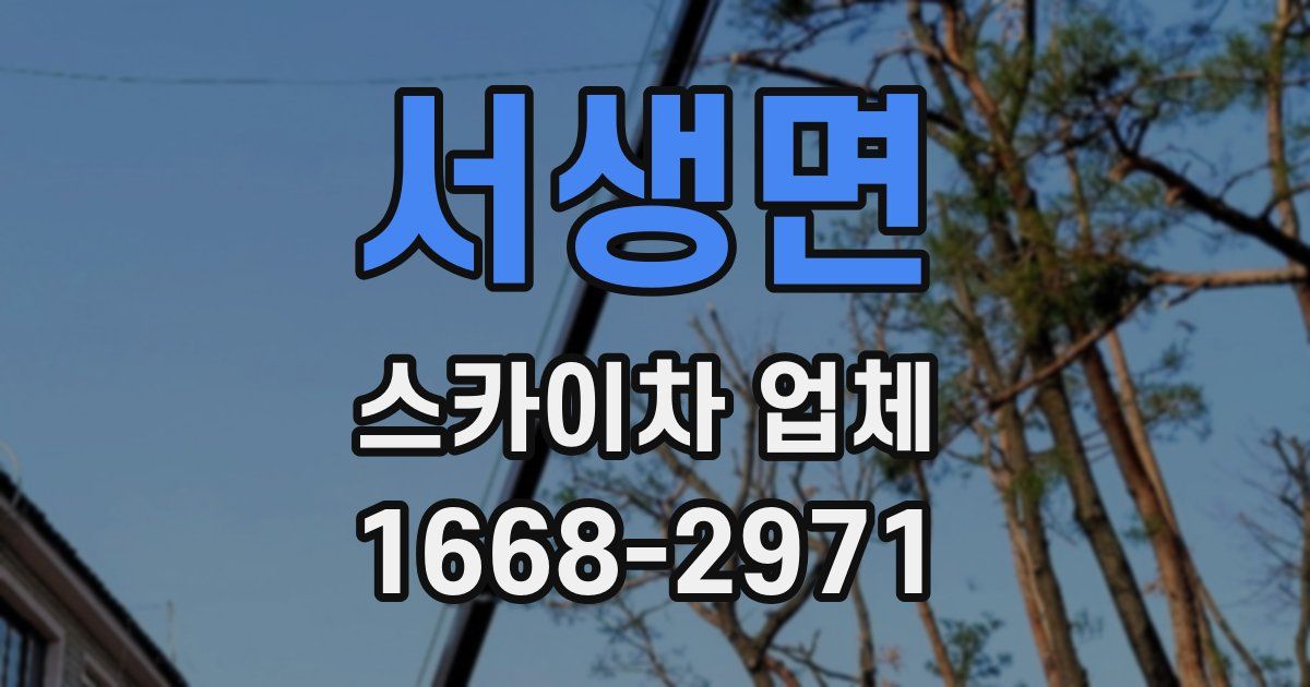 서생면 스카이차 업체