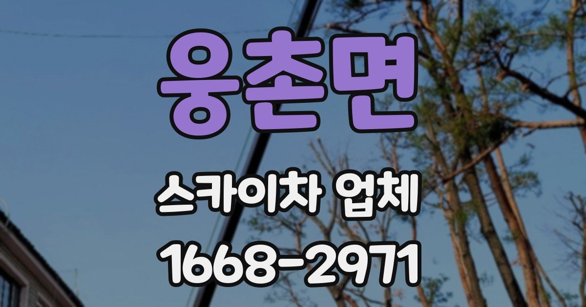 웅촌면 스카이차 업체