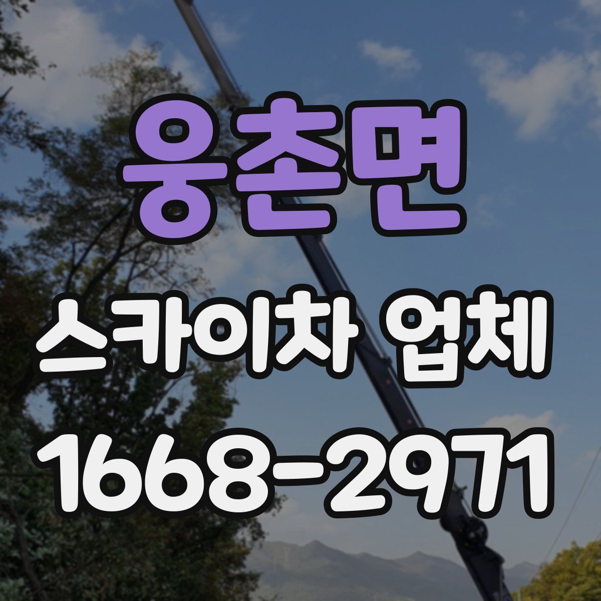웅촌면 스카이차 업체