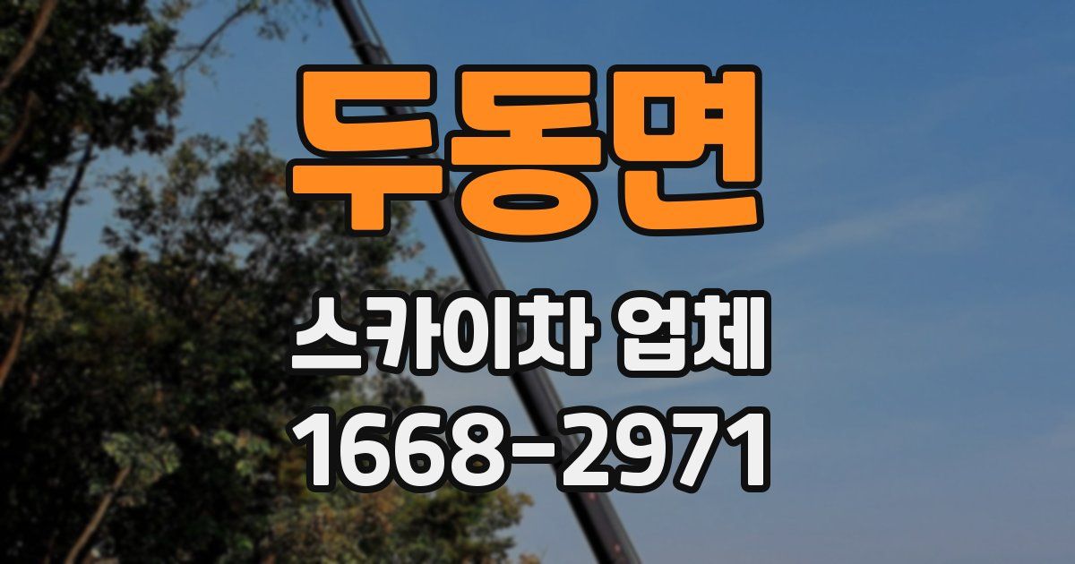 두동면 스카이차 업체