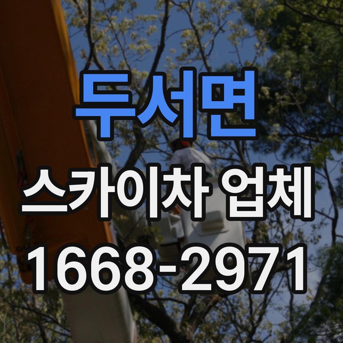 두서면 스카이차 업체
