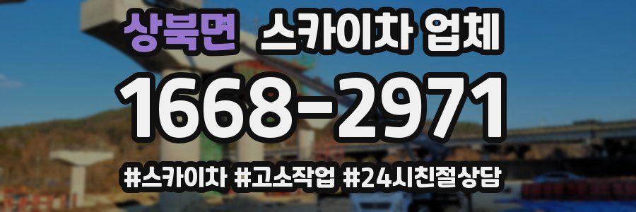 상북면 스카이차 업체