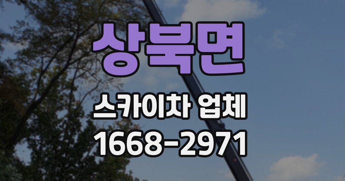 상북면 스카이차 업체