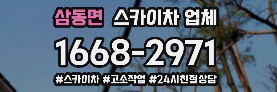 삼동면 스카이차 업체