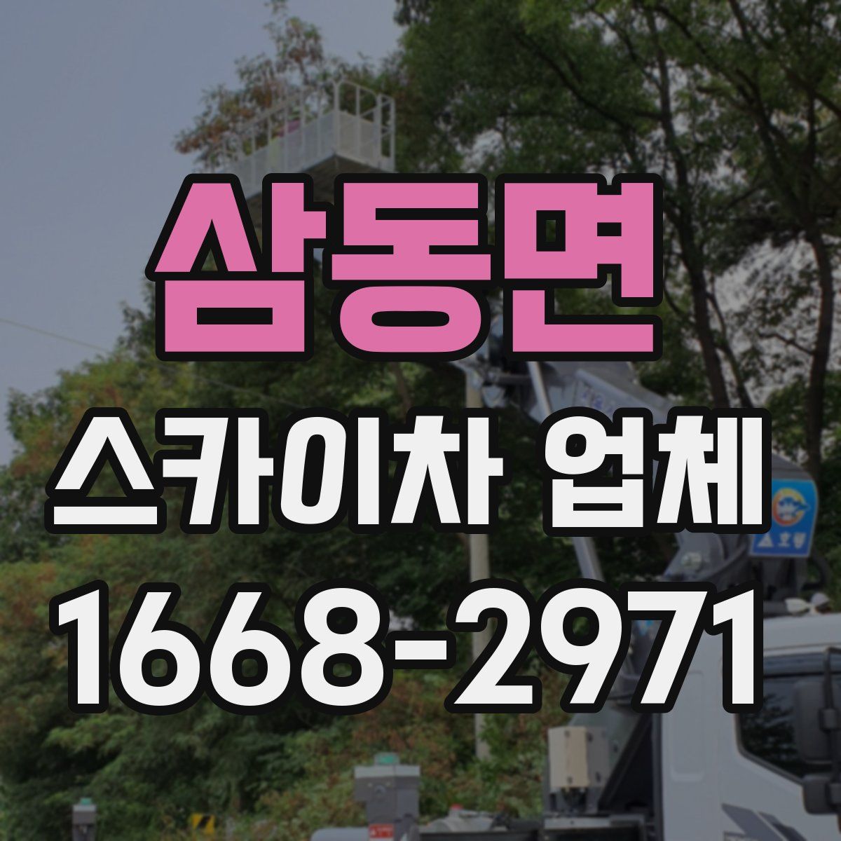 삼동면 스카이차 업체