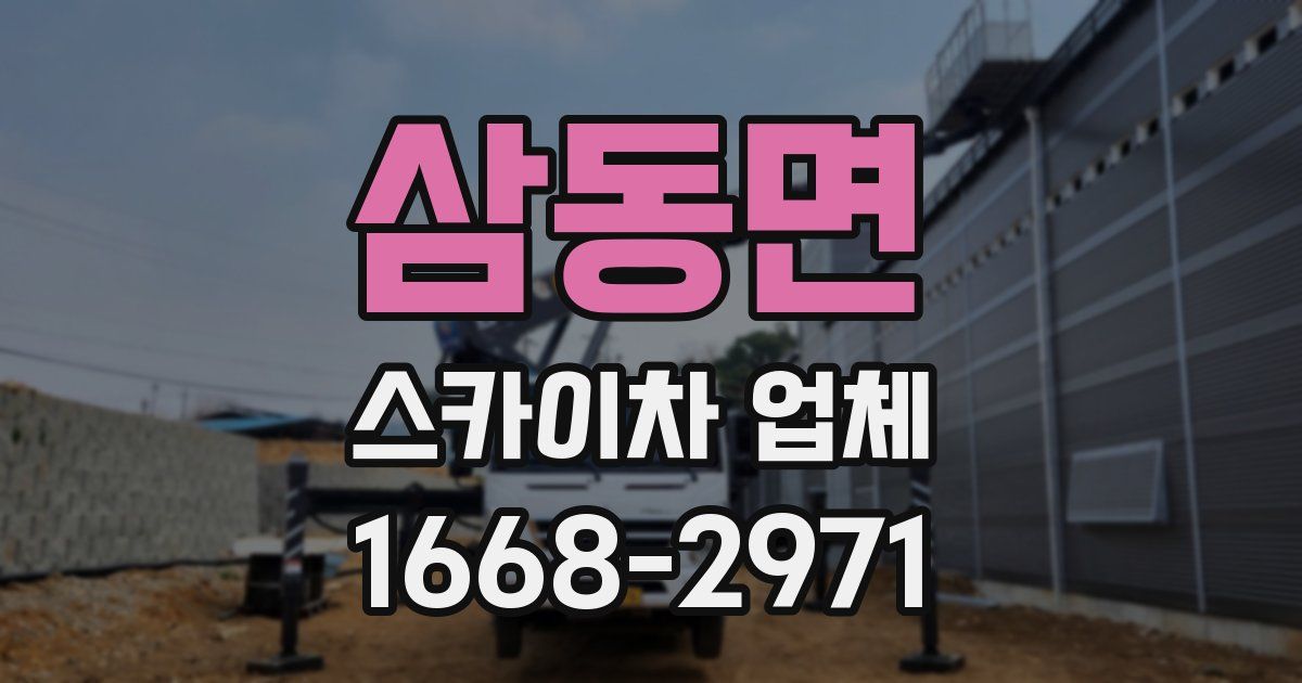 삼동면 스카이차 업체
