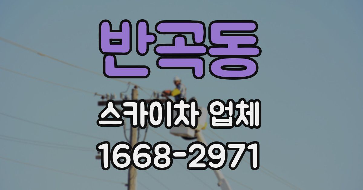 반곡동 스카이차 업체