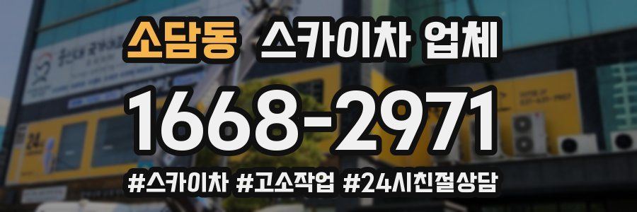 소담동 스카이차 업체