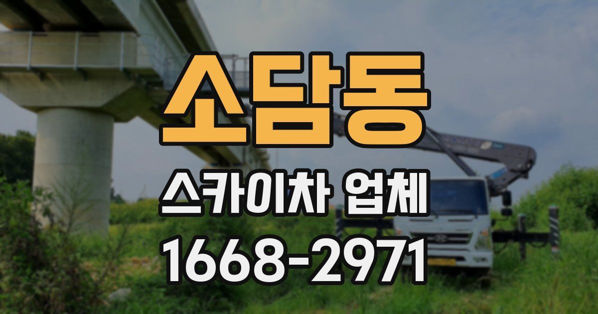 소담동 스카이차 업체