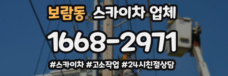 보람동 스카이차 업체