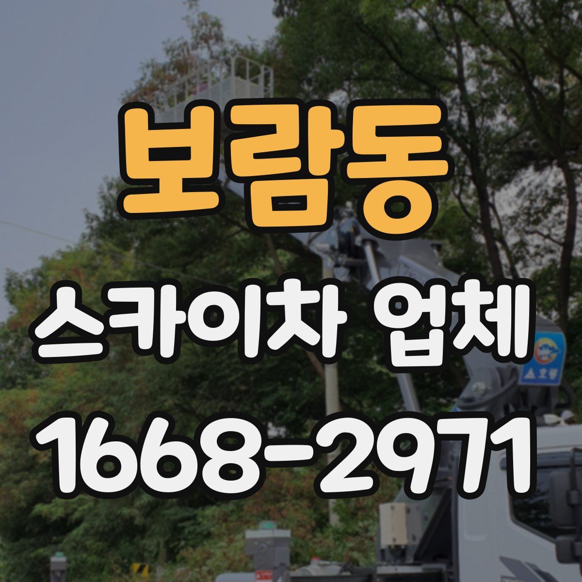 보람동 스카이차 업체
