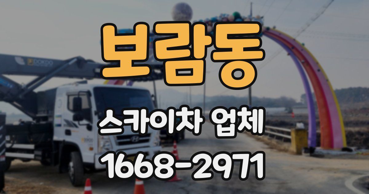 보람동 스카이차 업체