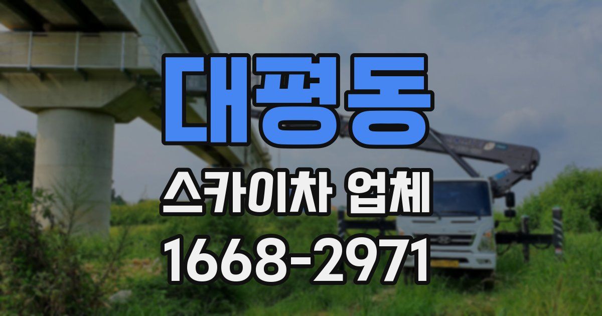 대평동 스카이차 업체