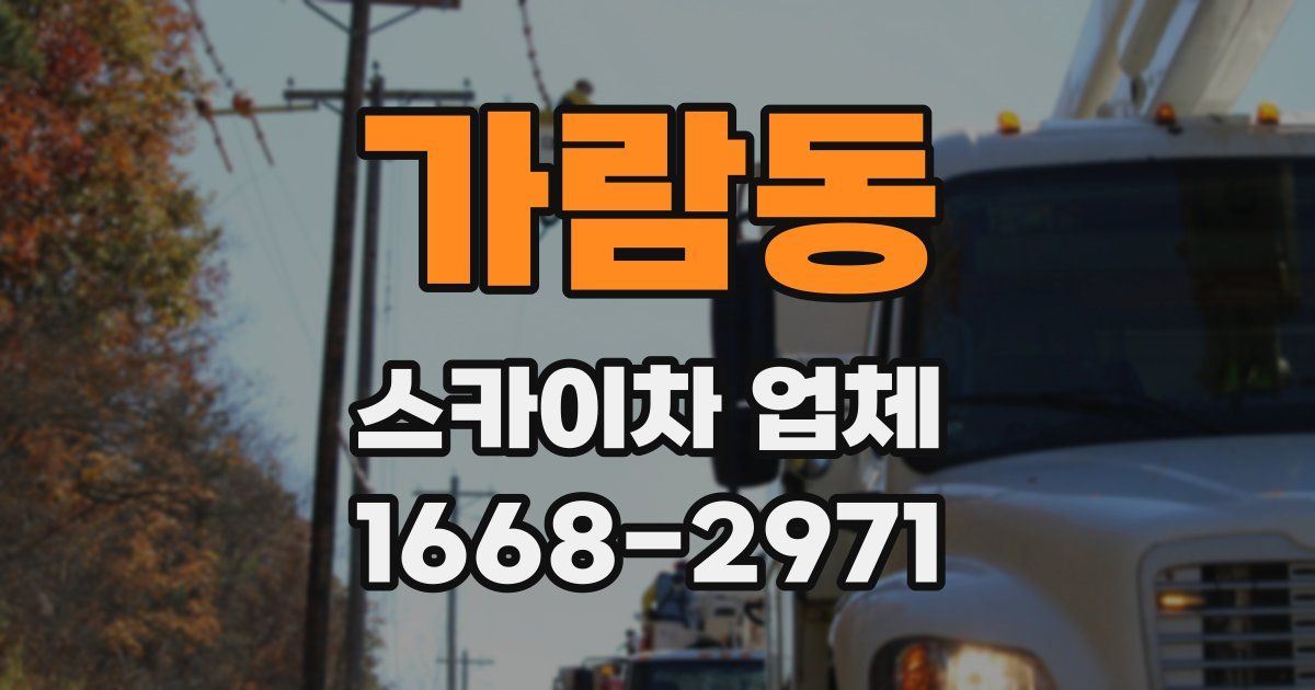 가람동 스카이차 업체