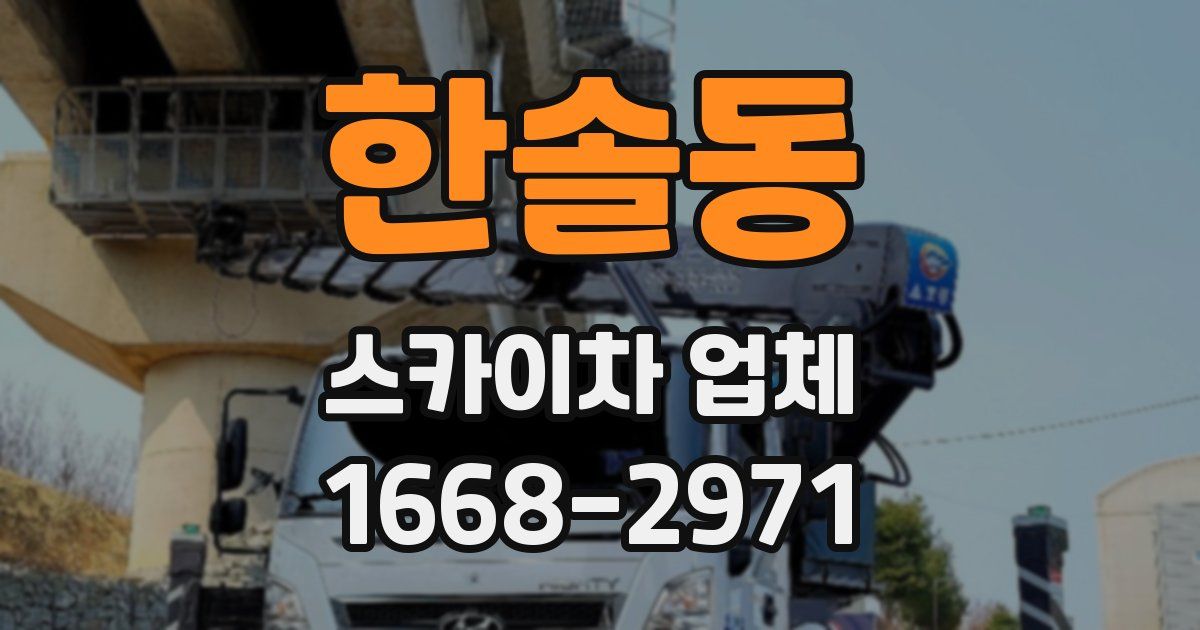 한솔동 스카이차 업체