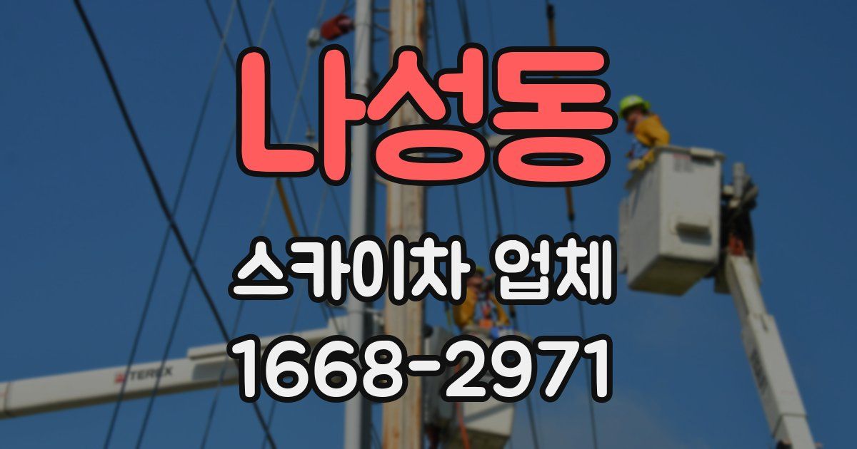 나성동 스카이차 업체