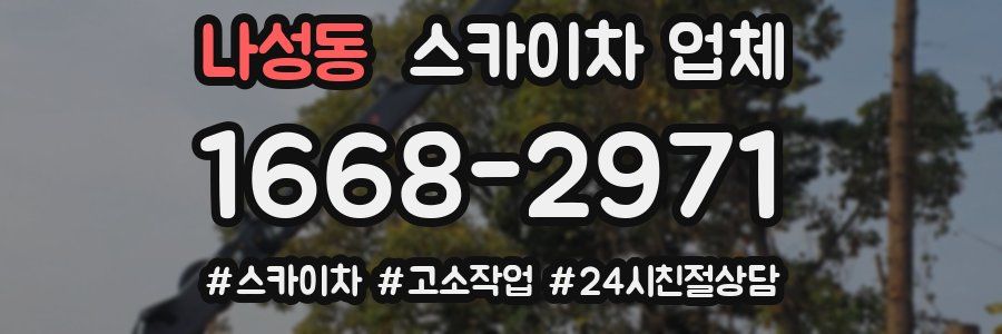 나성동 스카이차 업체