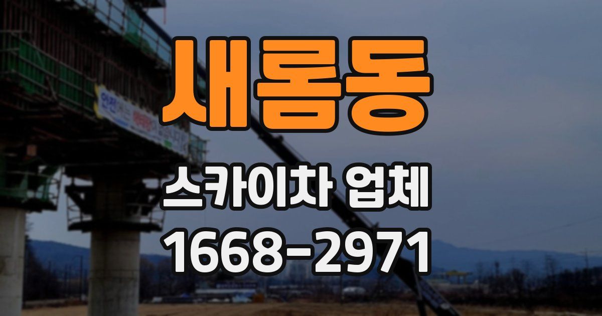 새롬동 스카이차 업체