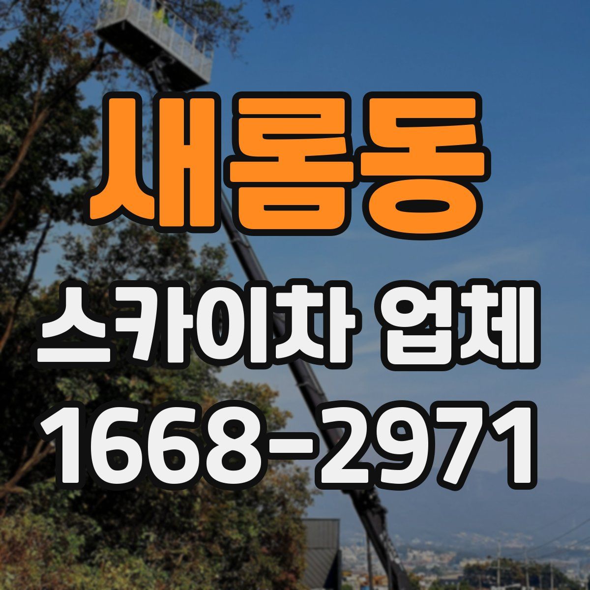 새롬동 스카이차 업체