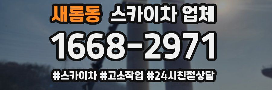 새롬동 스카이차 업체