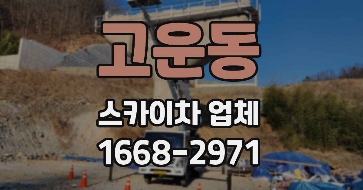 고운동 스카이차 업체