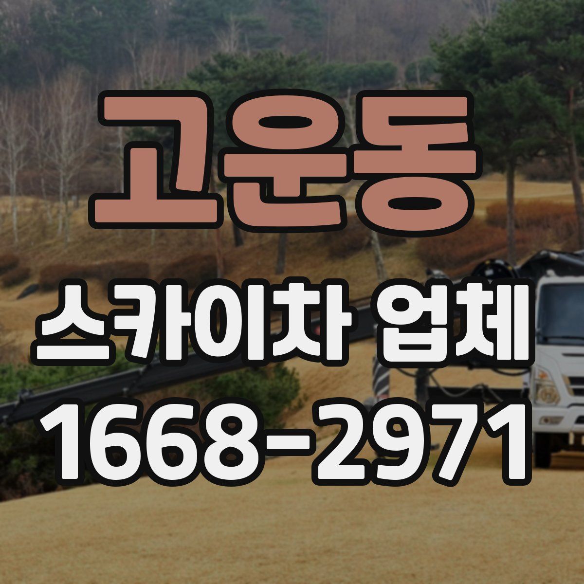 고운동 스카이차 업체