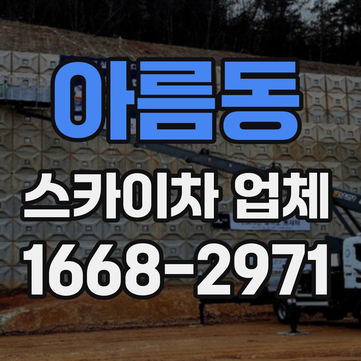아름동 스카이차 업체
