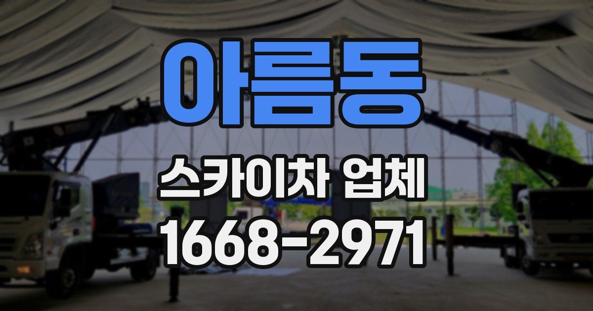 아름동 스카이차 업체