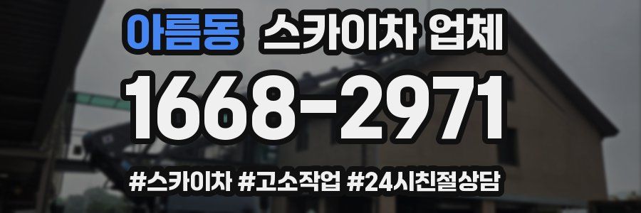 아름동 스카이차 업체