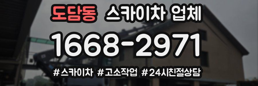 도담동 스카이차 업체