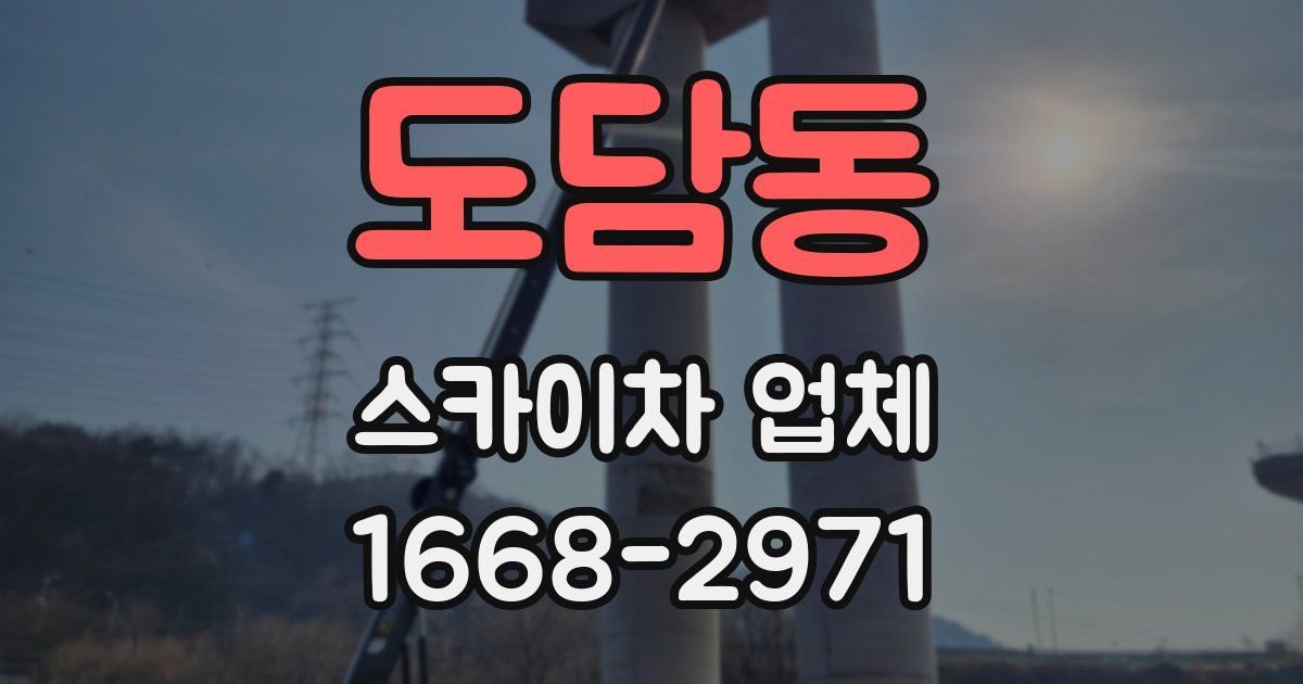도담동 스카이차 업체