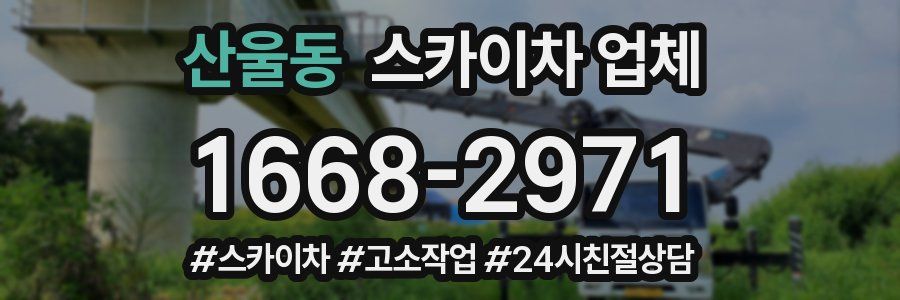 산울동 스카이차 업체