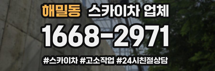 해밀동 스카이차 업체