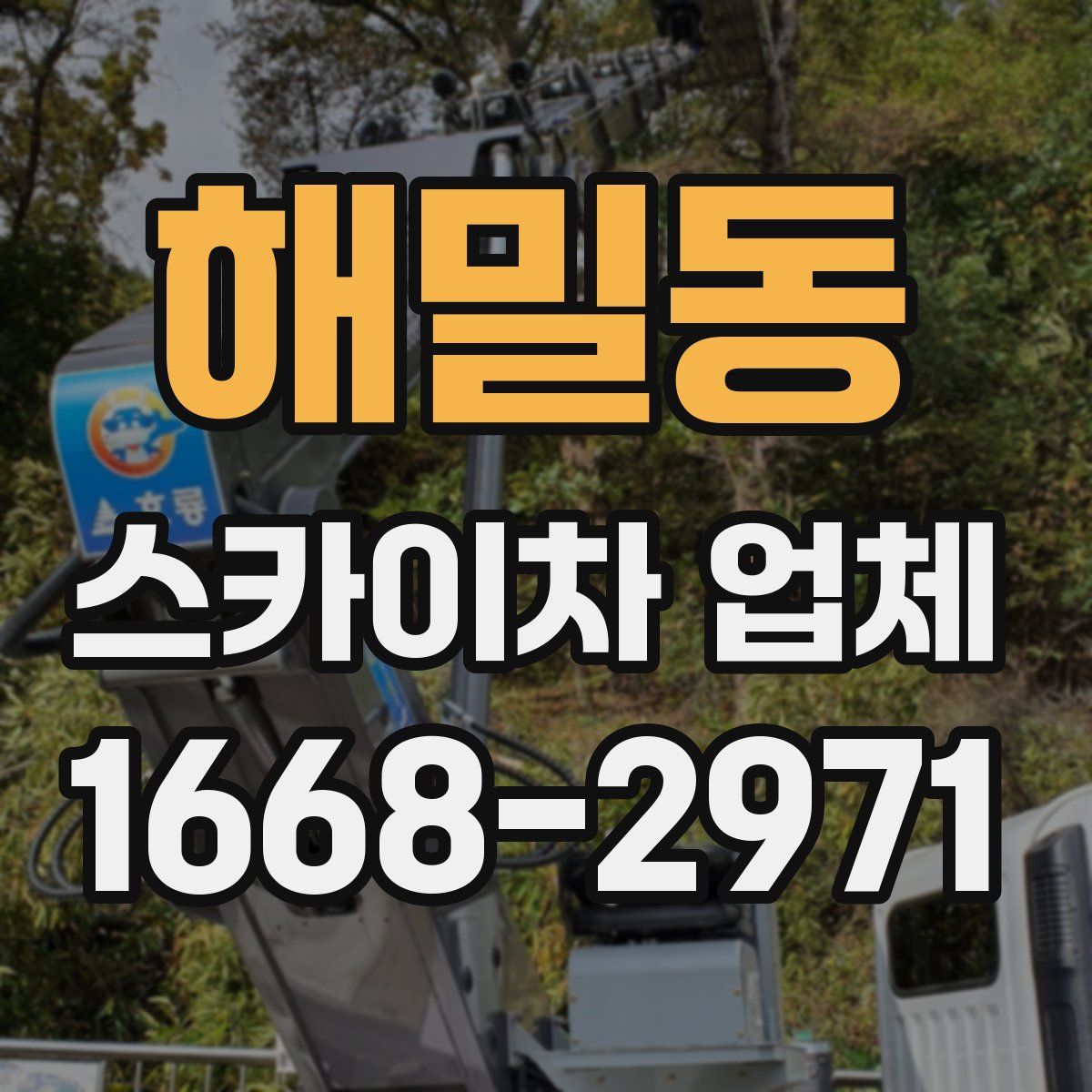 해밀동 스카이차 업체