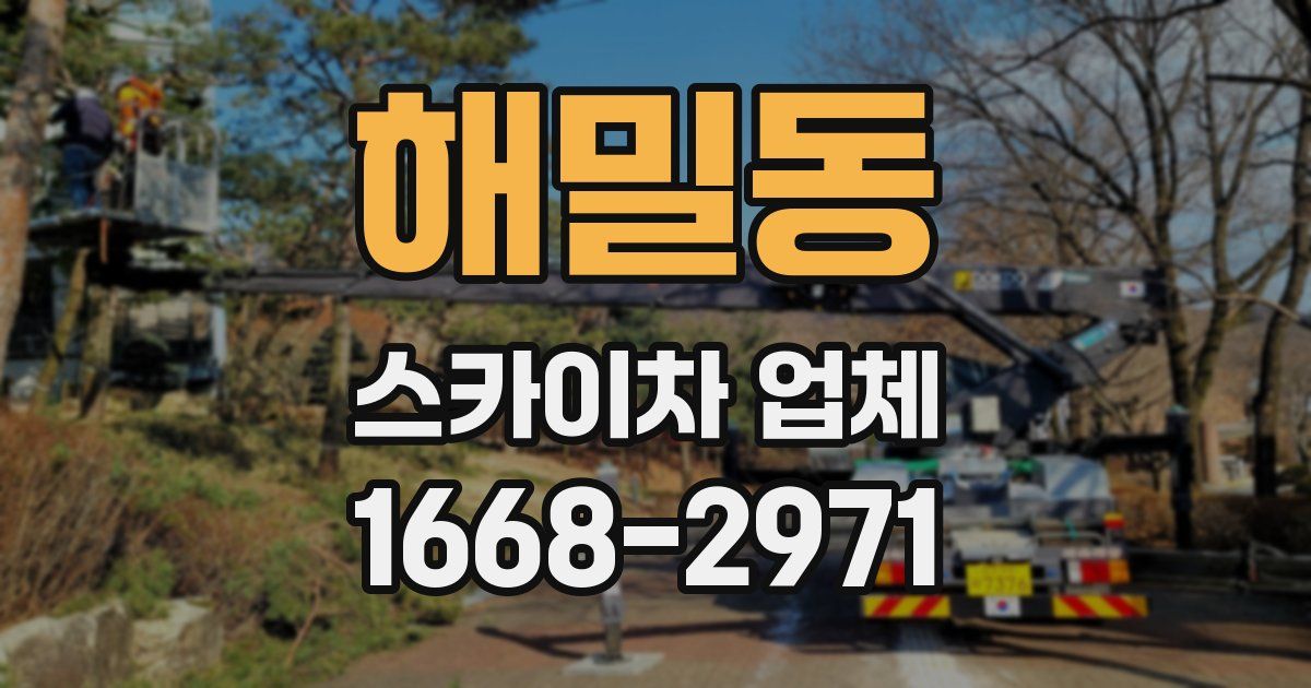 해밀동 스카이차 업체