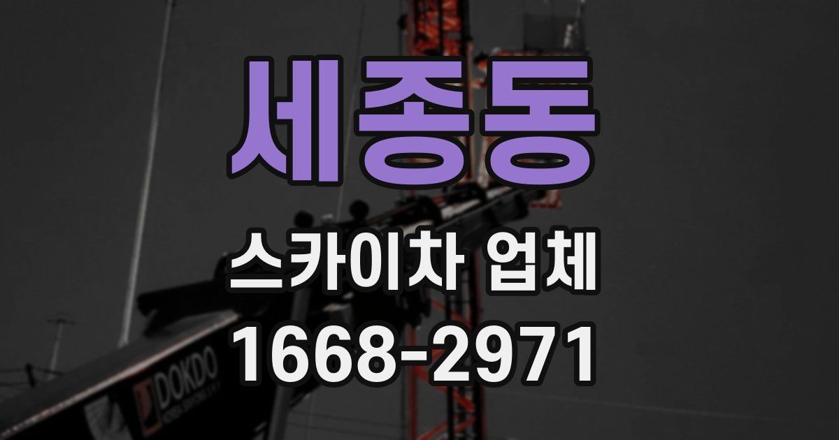 세종동 스카이차 업체