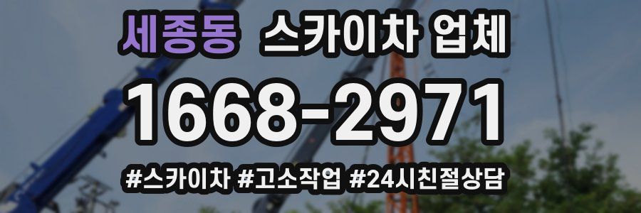 세종동 스카이차 업체