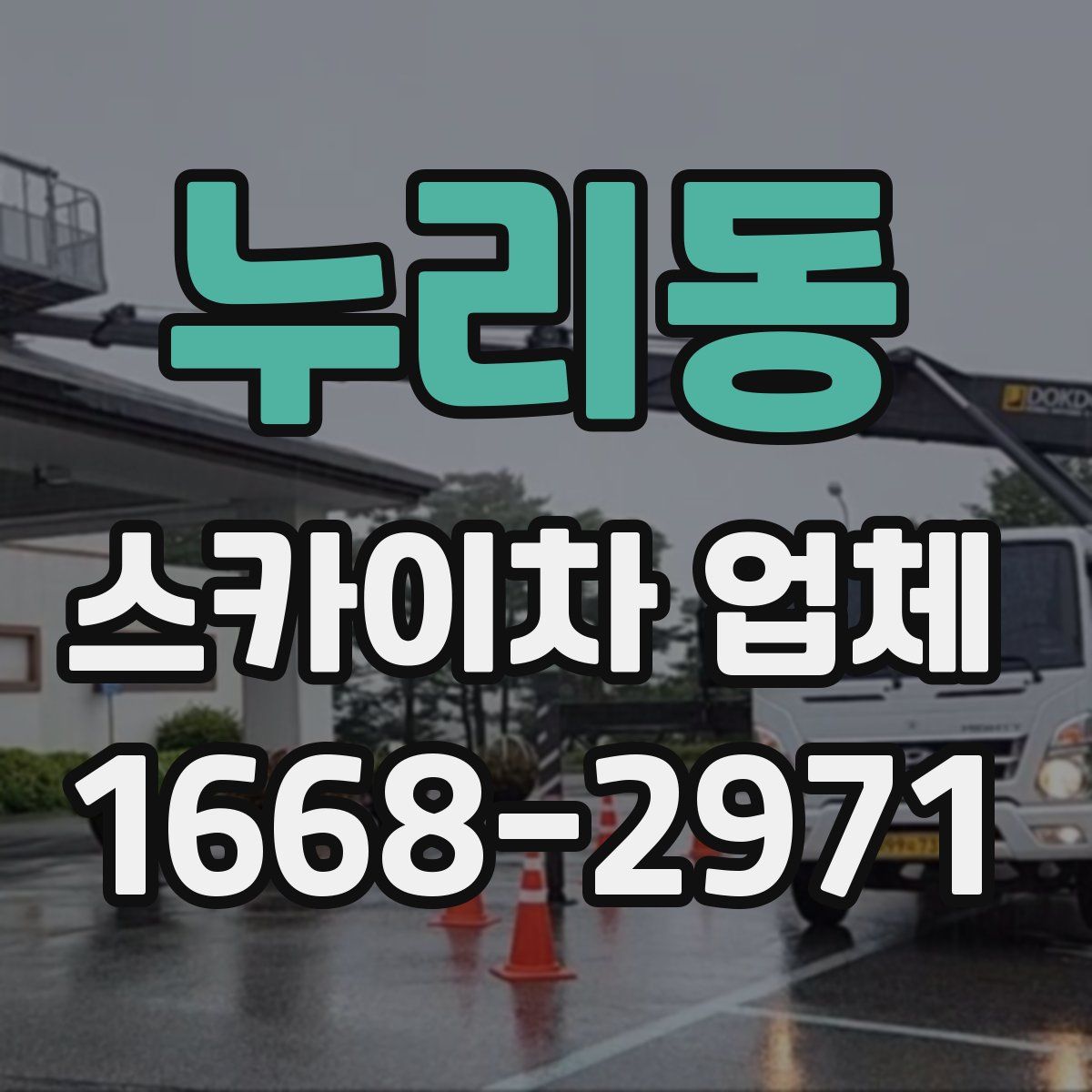 누리동 스카이차 업체