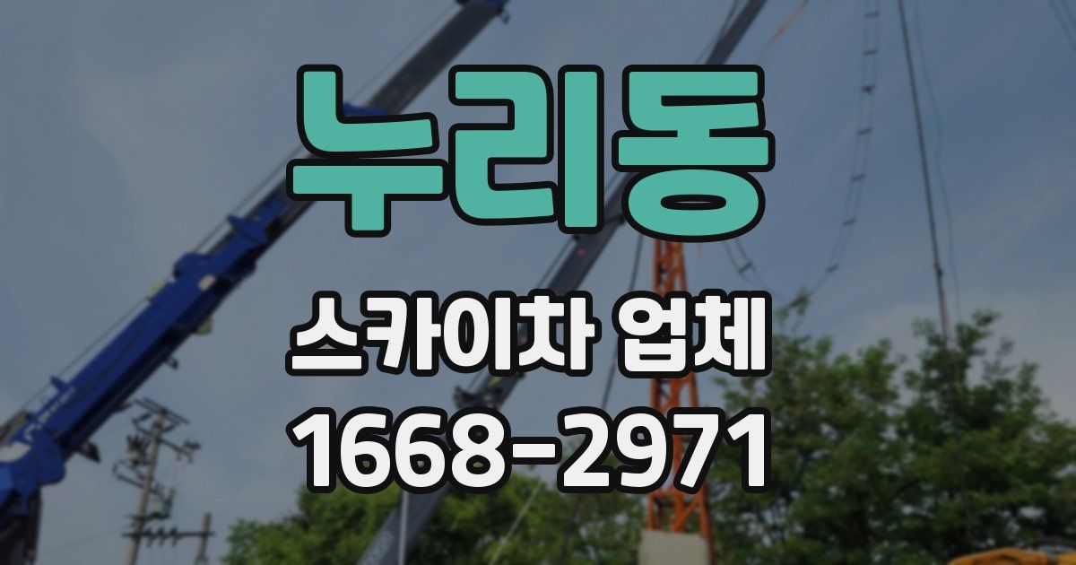누리동 스카이차 업체