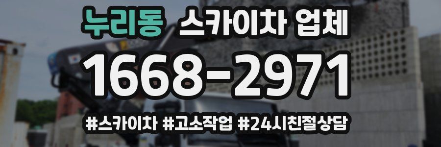 누리동 스카이차 업체