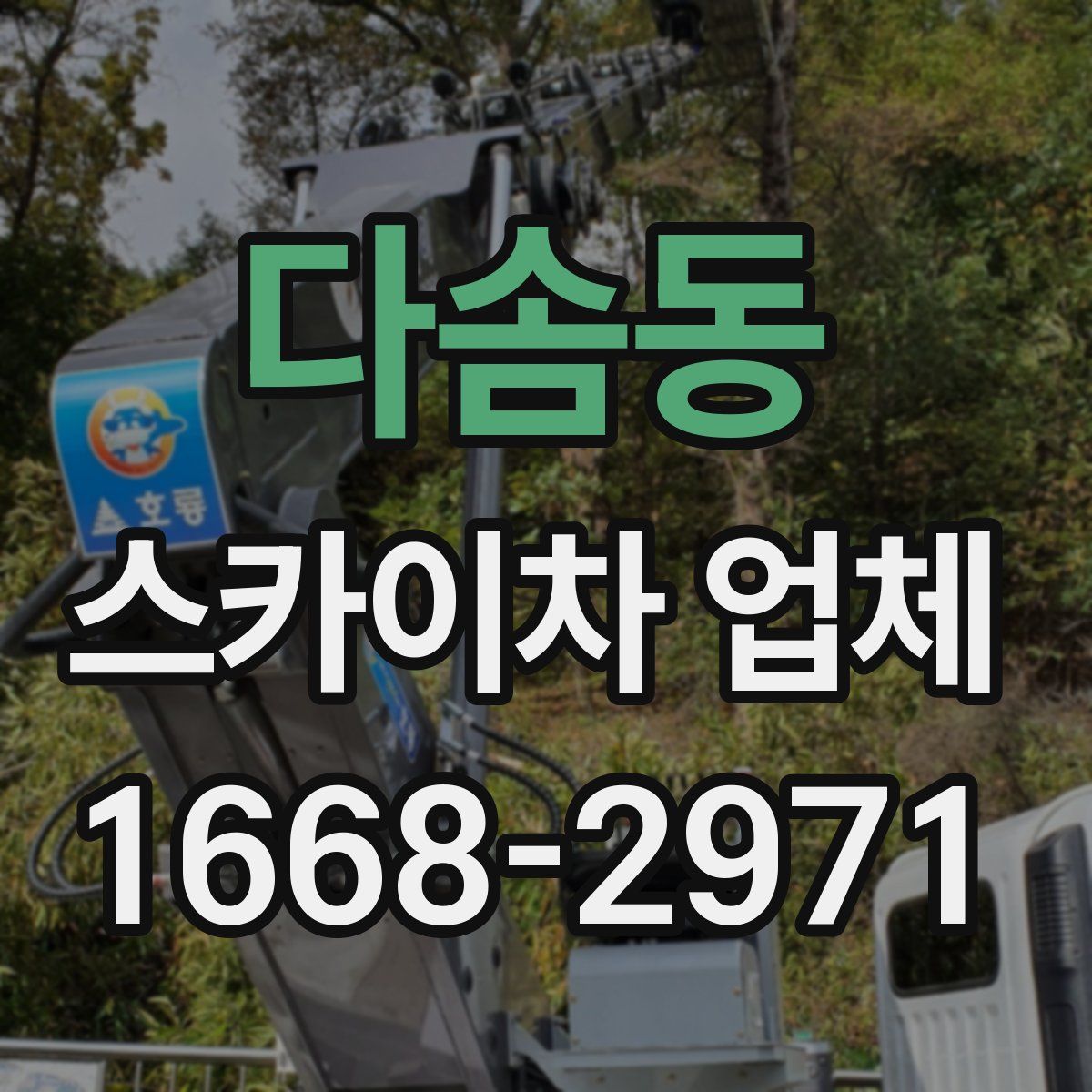 다솜동 스카이차 업체