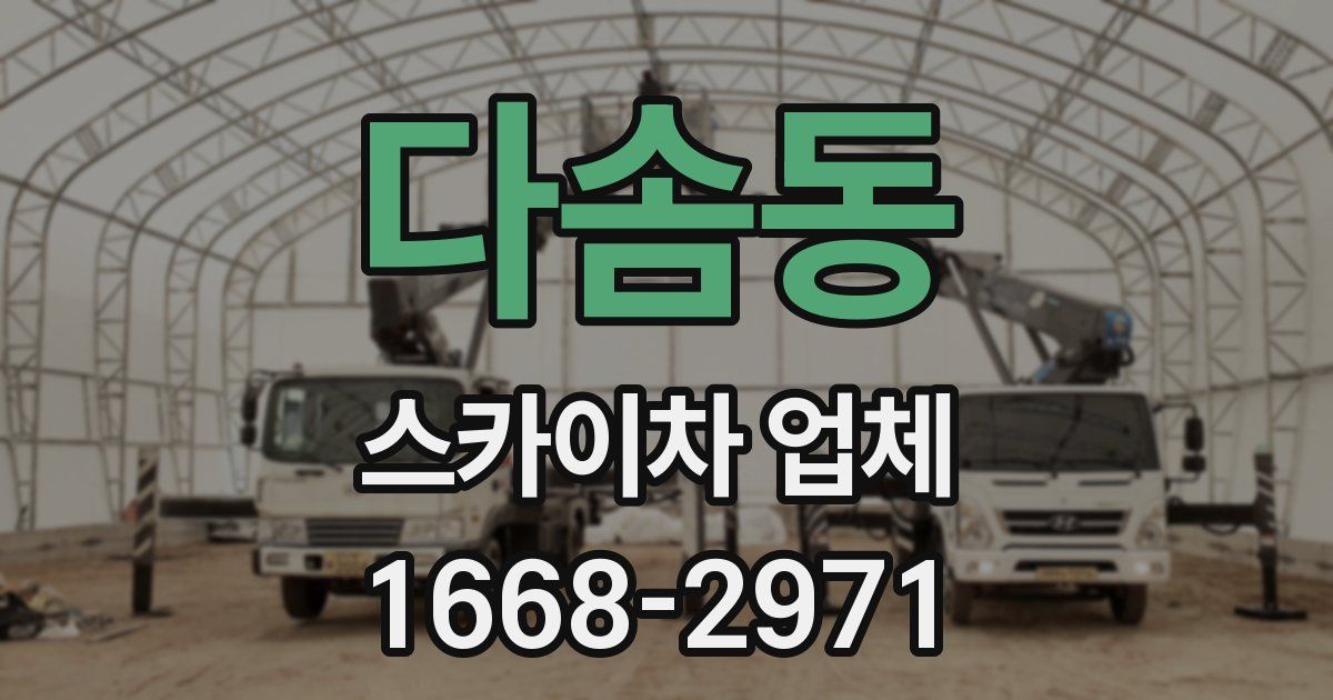 다솜동 스카이차 업체