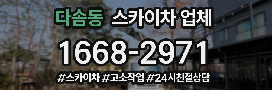 다솜동 스카이차 업체
