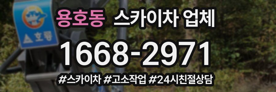 용호동 스카이차 업체