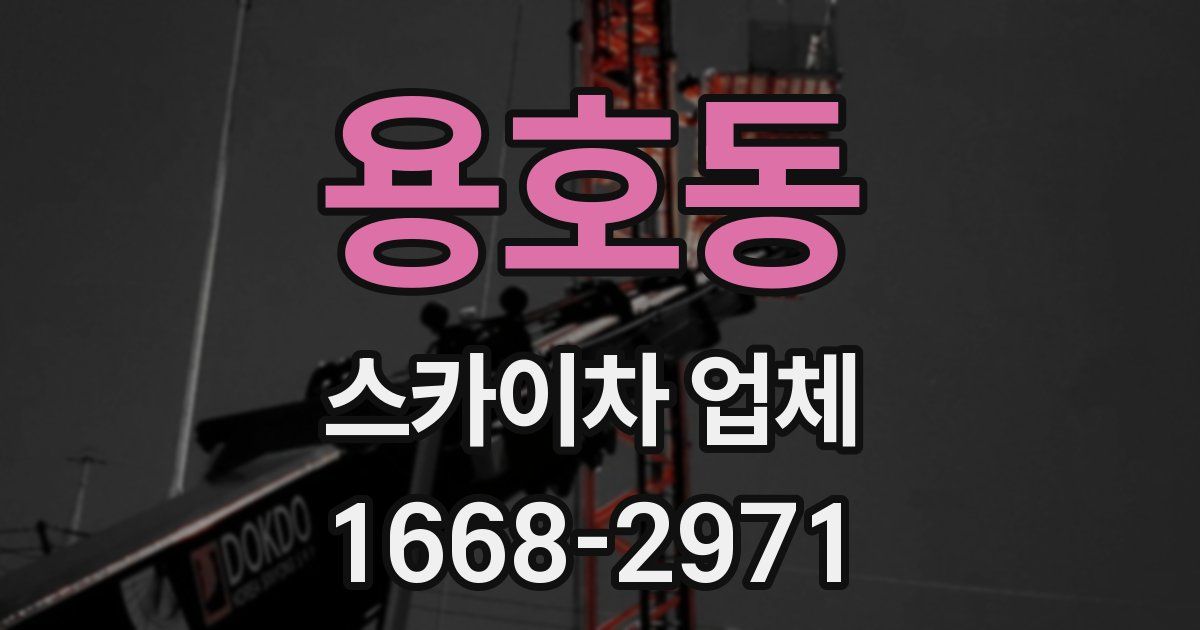 용호동 스카이차 업체