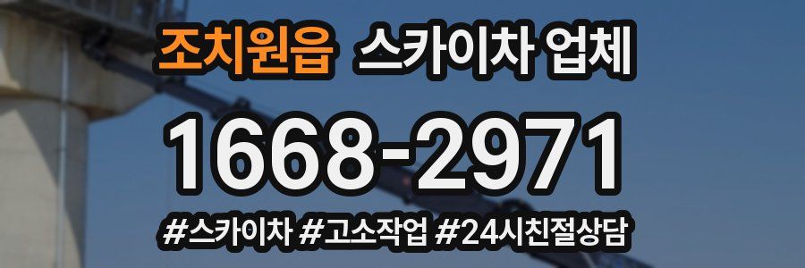 조치원읍 스카이차 업체