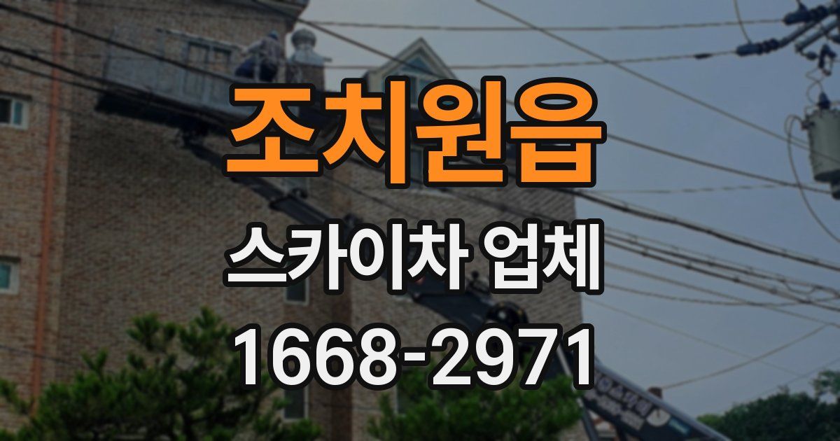 조치원읍 스카이차 업체