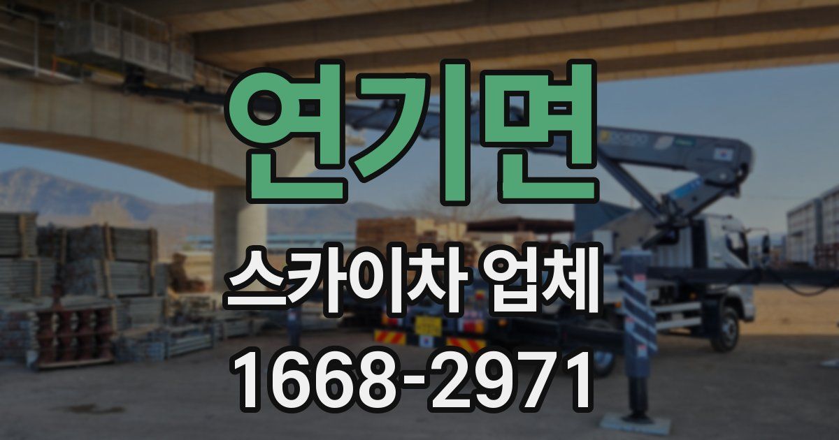 연기면 스카이차 업체