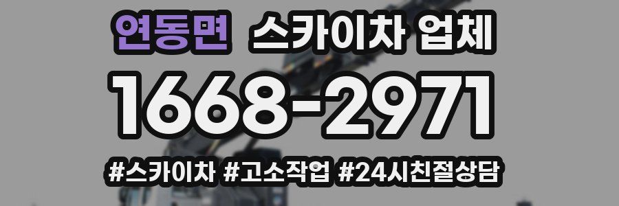 연동면 스카이차 업체
